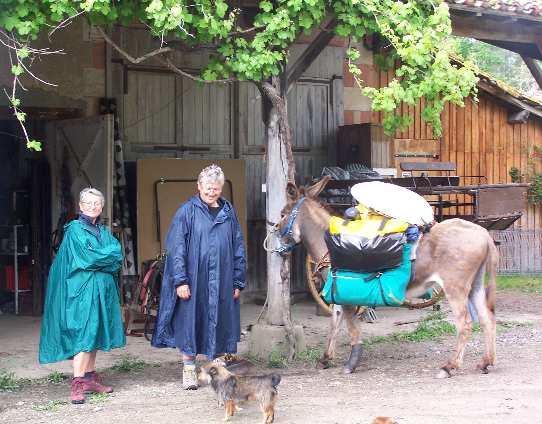 Gîte d'étape Airial de Lavigne - photo 2