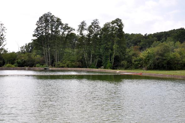 Les Prés de la Fontaine, Archigny
