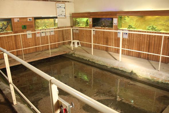 Aquariums du Lavoir - photo 2