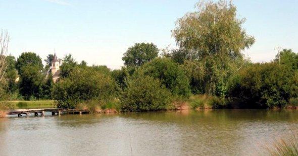 Etang de Pêche Communal