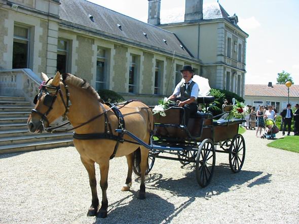 Les Calèches et Roulottes enchantées, Naintré - photo 3