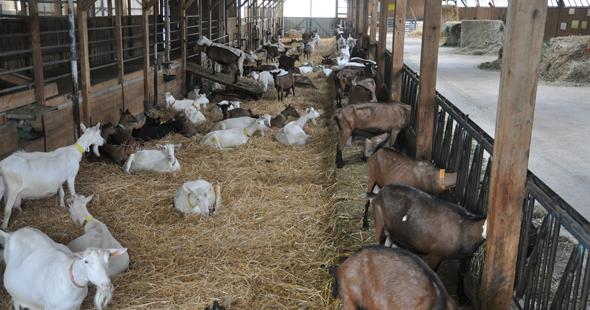 La Ferme du Maras