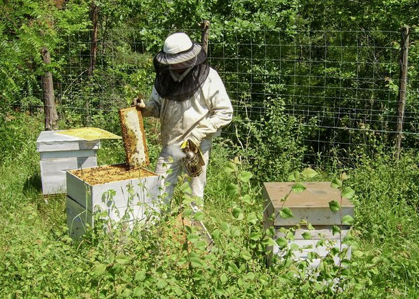 Camping L'Apyraine - photo 5