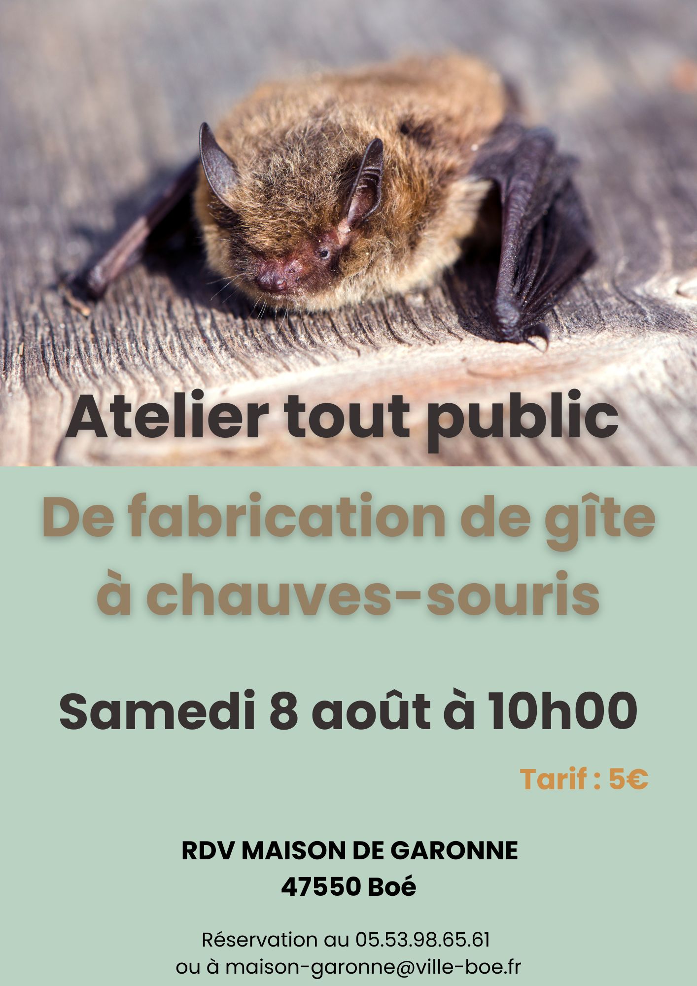 Atelier de fabrication d'abri à chauves-souris