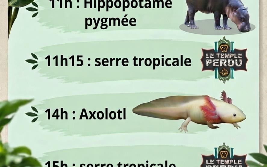 Image de présentation du lieu
