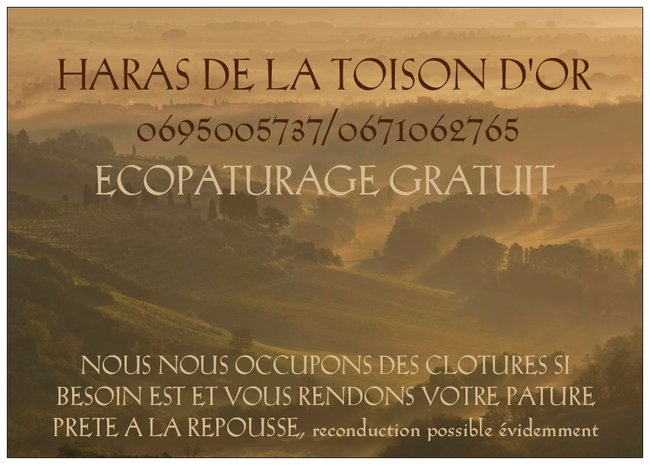 Association PLVRA - photo 2
