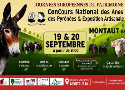 Concours national des ânes des pyrénées