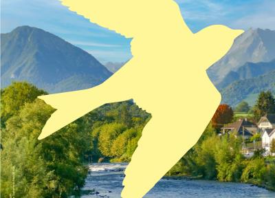 Exposition - De la saligue à la cime