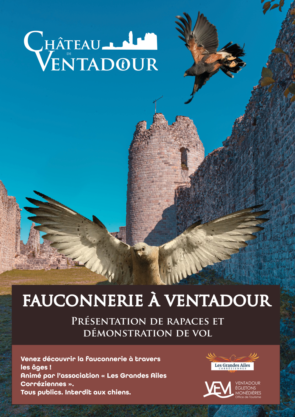 Fauconnerie au Château de Ventadour, Moustier-Ventadour