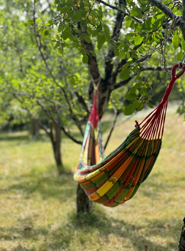 Gîte La Colline - photo 3