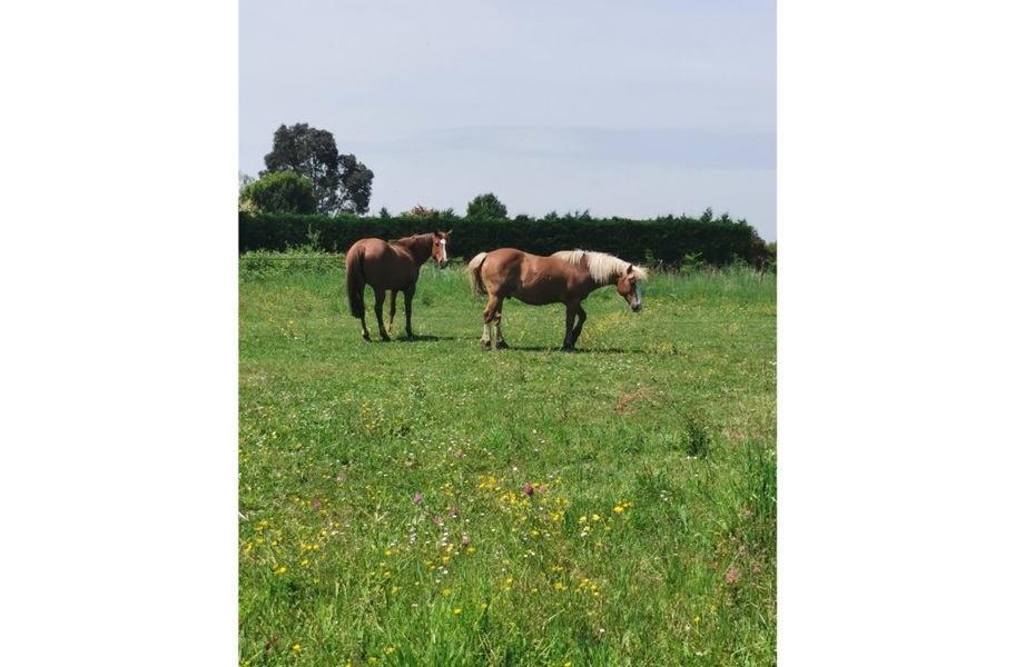 Les gîtes de la nouvelle vie - Maison 2, Agnac - photo 12