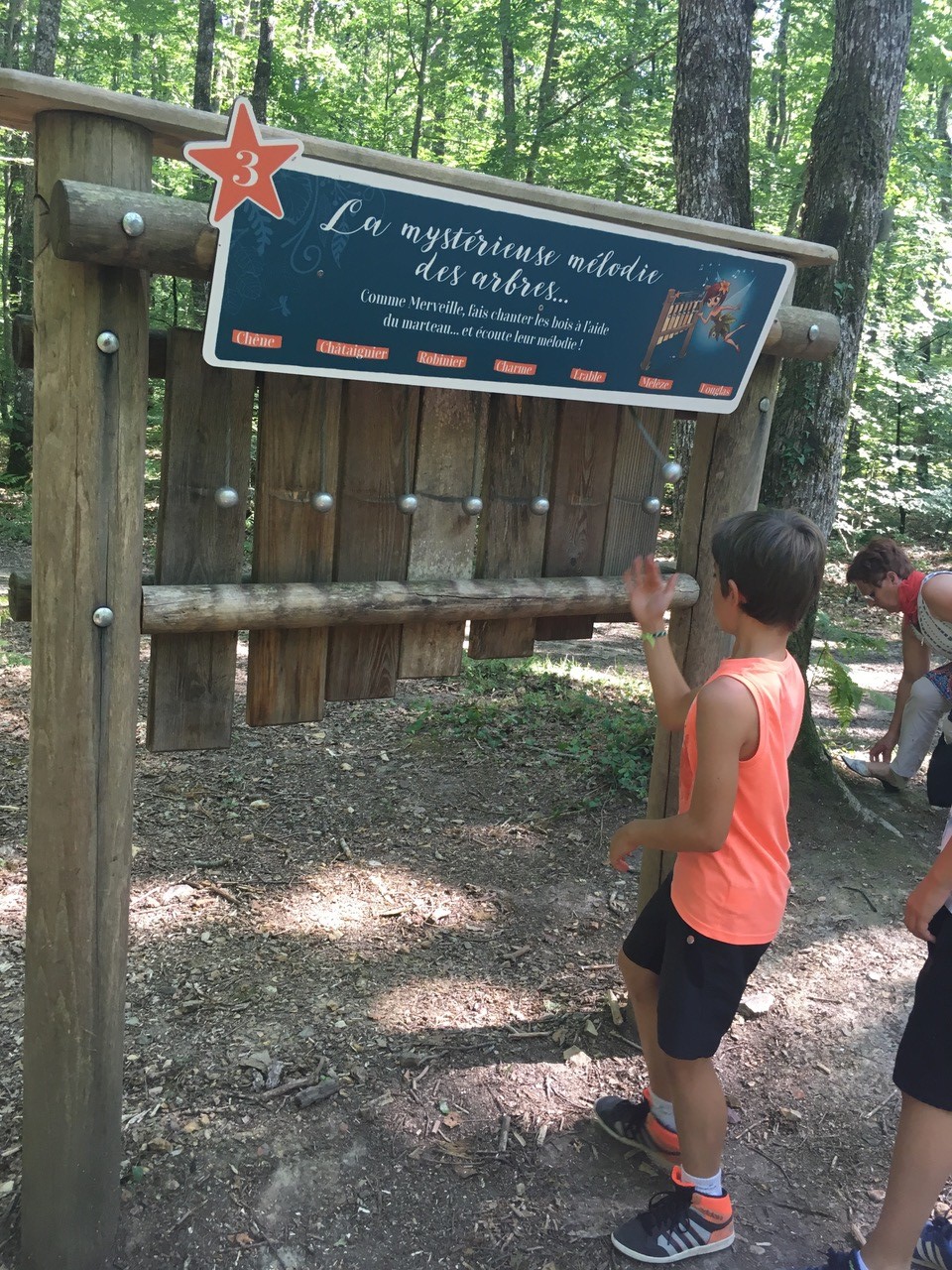 Forêt Domaniale de Vouillé-Saint-Hilaire, Vouillé - photo 4