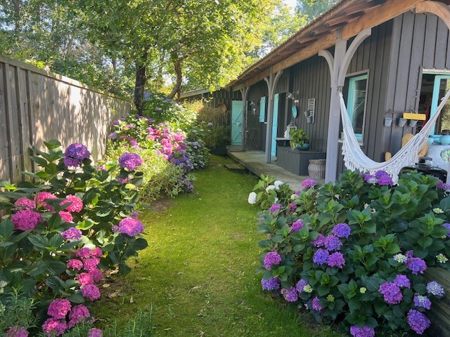 L'air du temps, Arès - photo 4