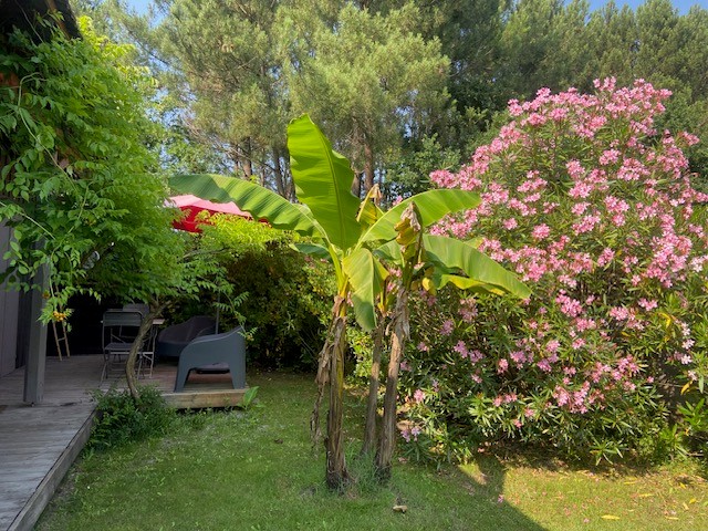 L'air du temps, Arès - photo 6