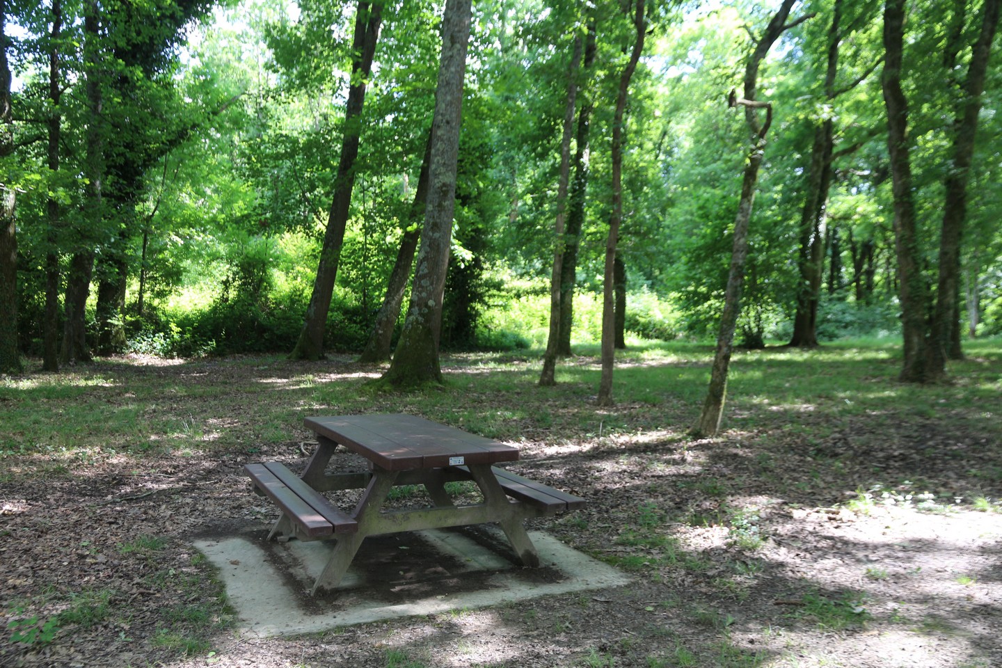 Aire de jeux des Ramiers - photo 4