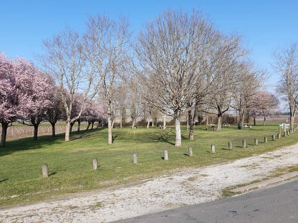 Aire de pique-nique de Blaignan