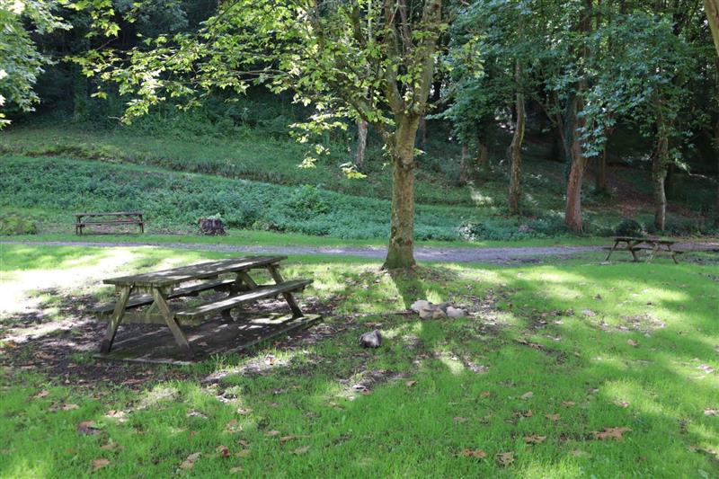 Aire de pique-nique 