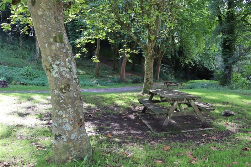 Aire de pique-nique 