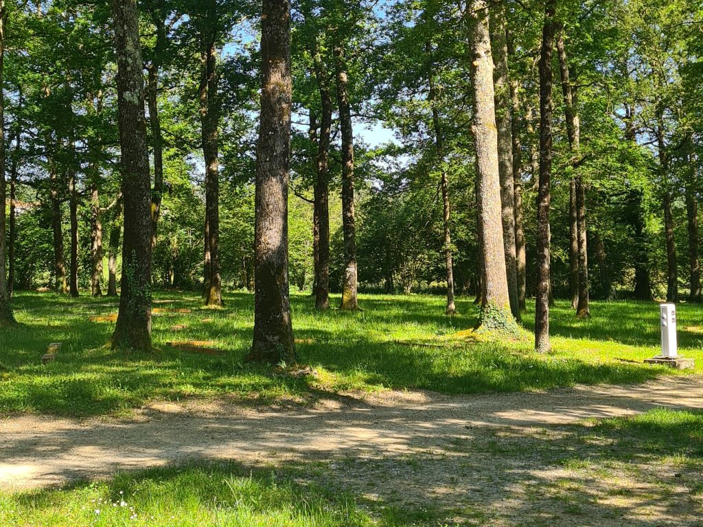 Aire Camping-car Park de St Laurent sur Gorre - photo 2