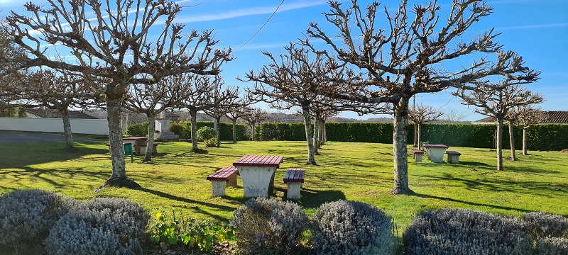 Aire de pique-nique d'Auriolles