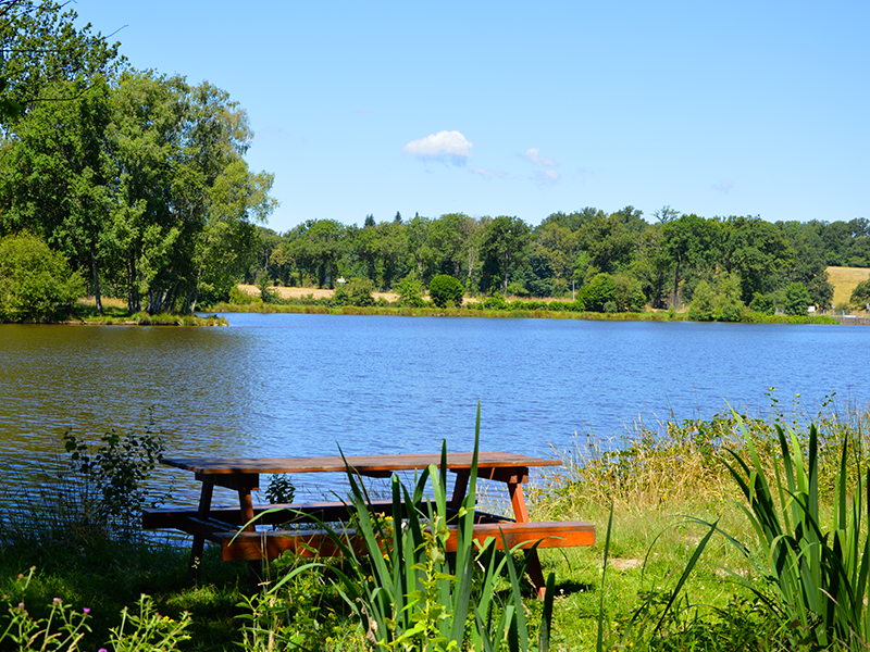 Aire de pique-nique - photo 3
