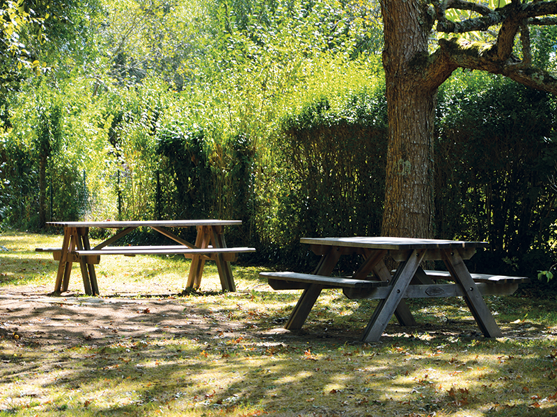 Aire de pique-nique - photo 4
