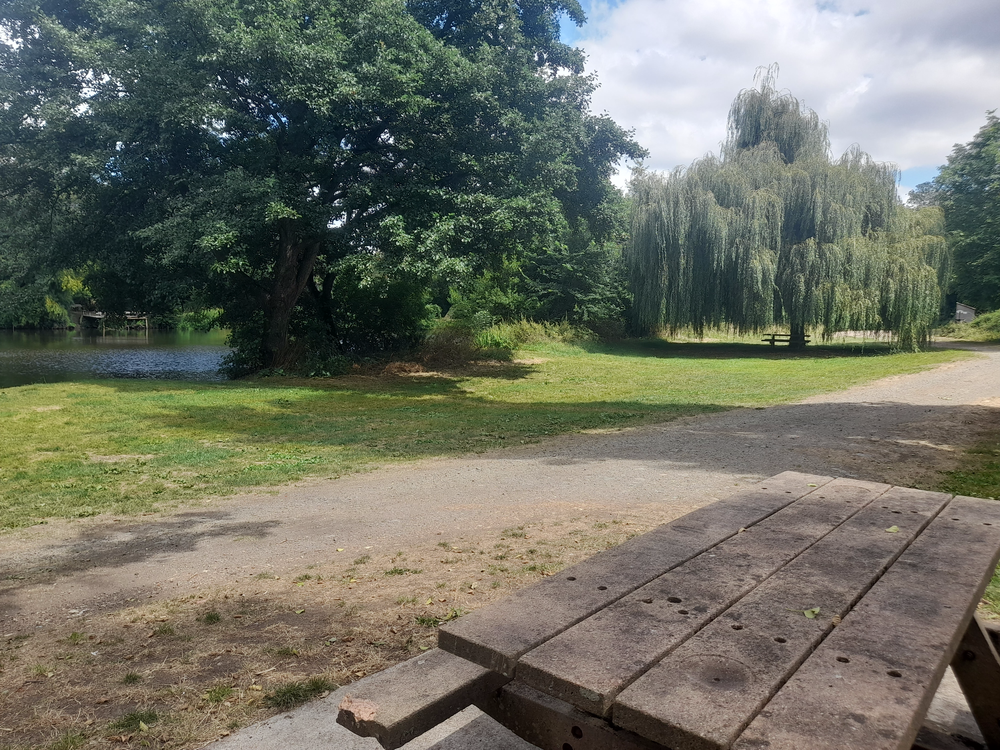 Aire de pique-nique de Saint-Jean-de-Thouars (Les Varannes)