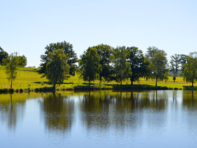 Aire de pique-nique - photo 2
