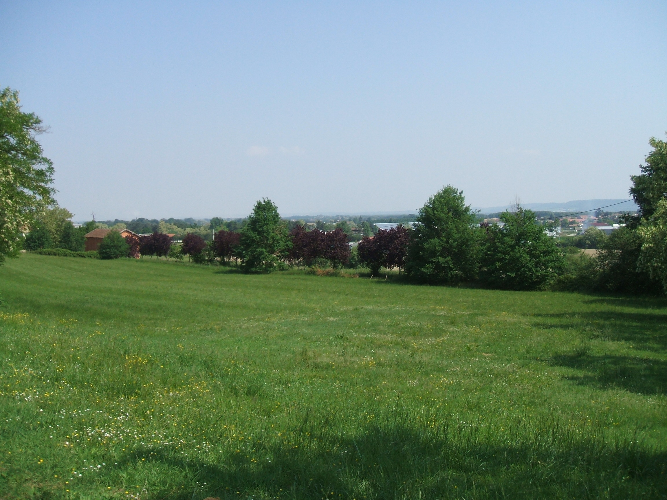 La Vigneraie, Damazan - photo 5