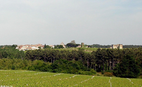 Aire de pique-nique de Fargues