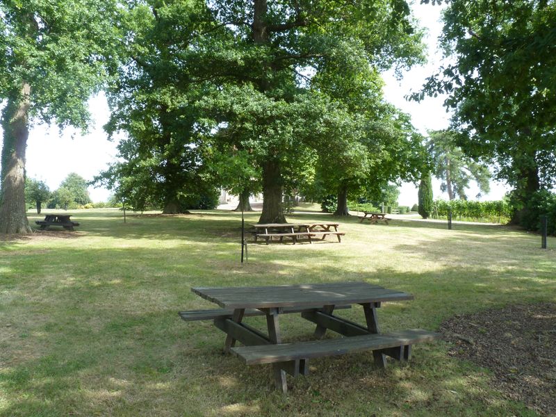 Aire de pique-nique du Château 