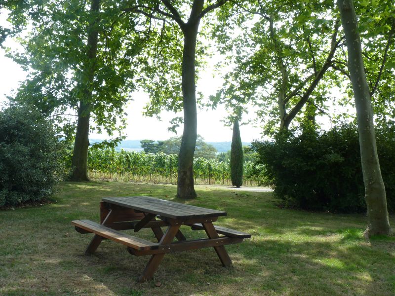 Aire de pique-nique du Château 