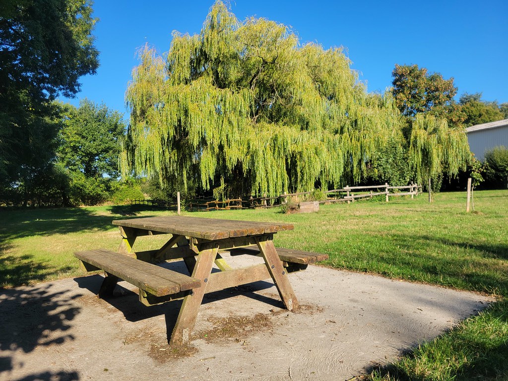 Aire de pique-nique de la Roche - photo 2