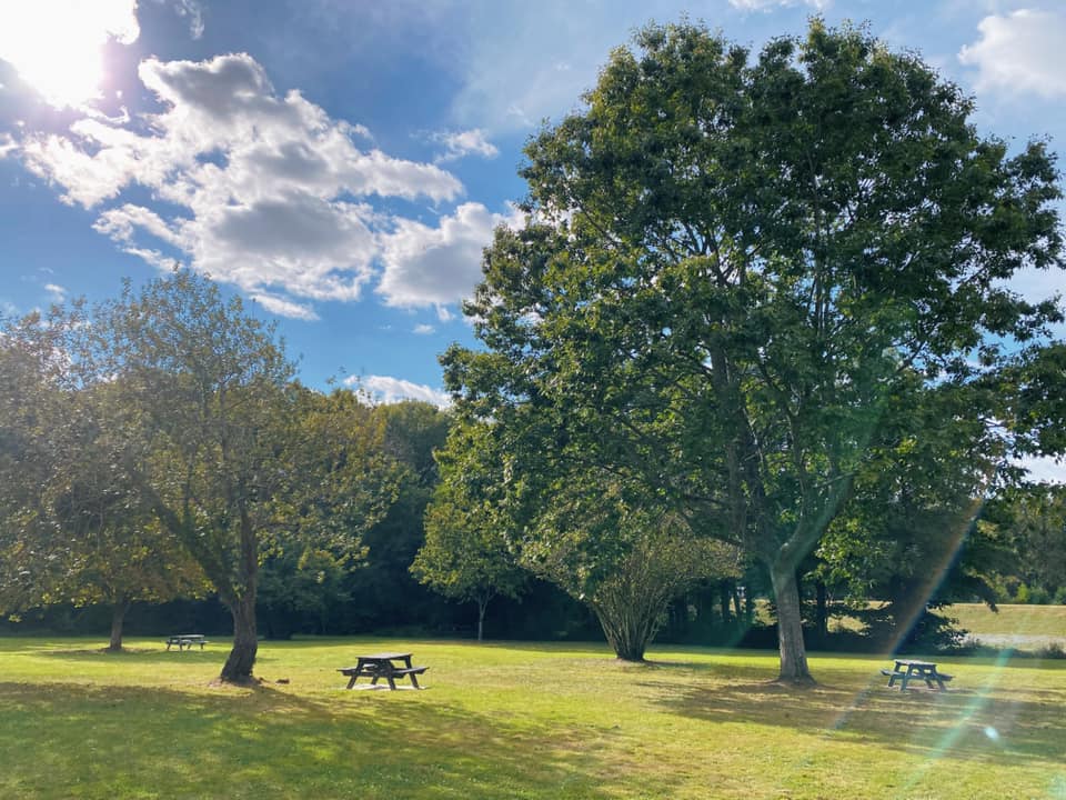 Etangs communaux du Beugnon - photo 5