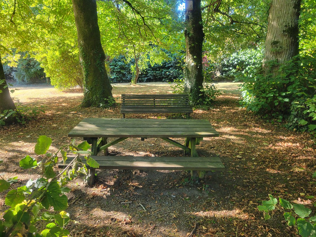 Aire de pique-nique du Parc de la Mignauderie - photo 2