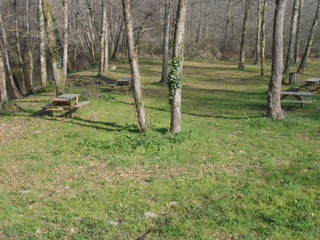 Aire de pique-nique de la Madeleine