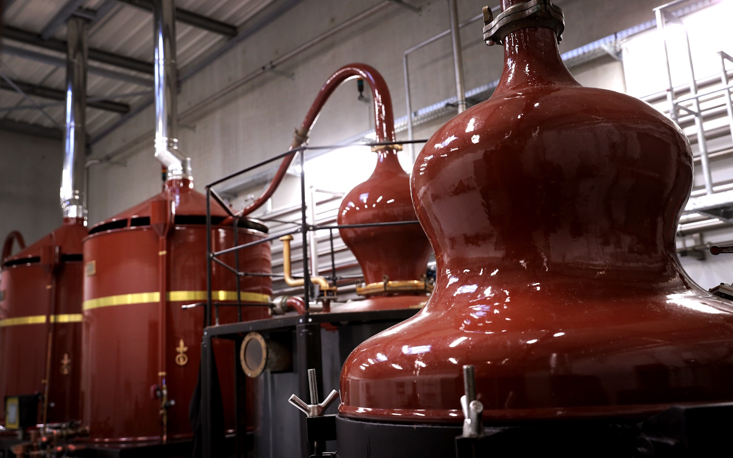 Visite de la Distillerie Brana et dégustation — visuel événement