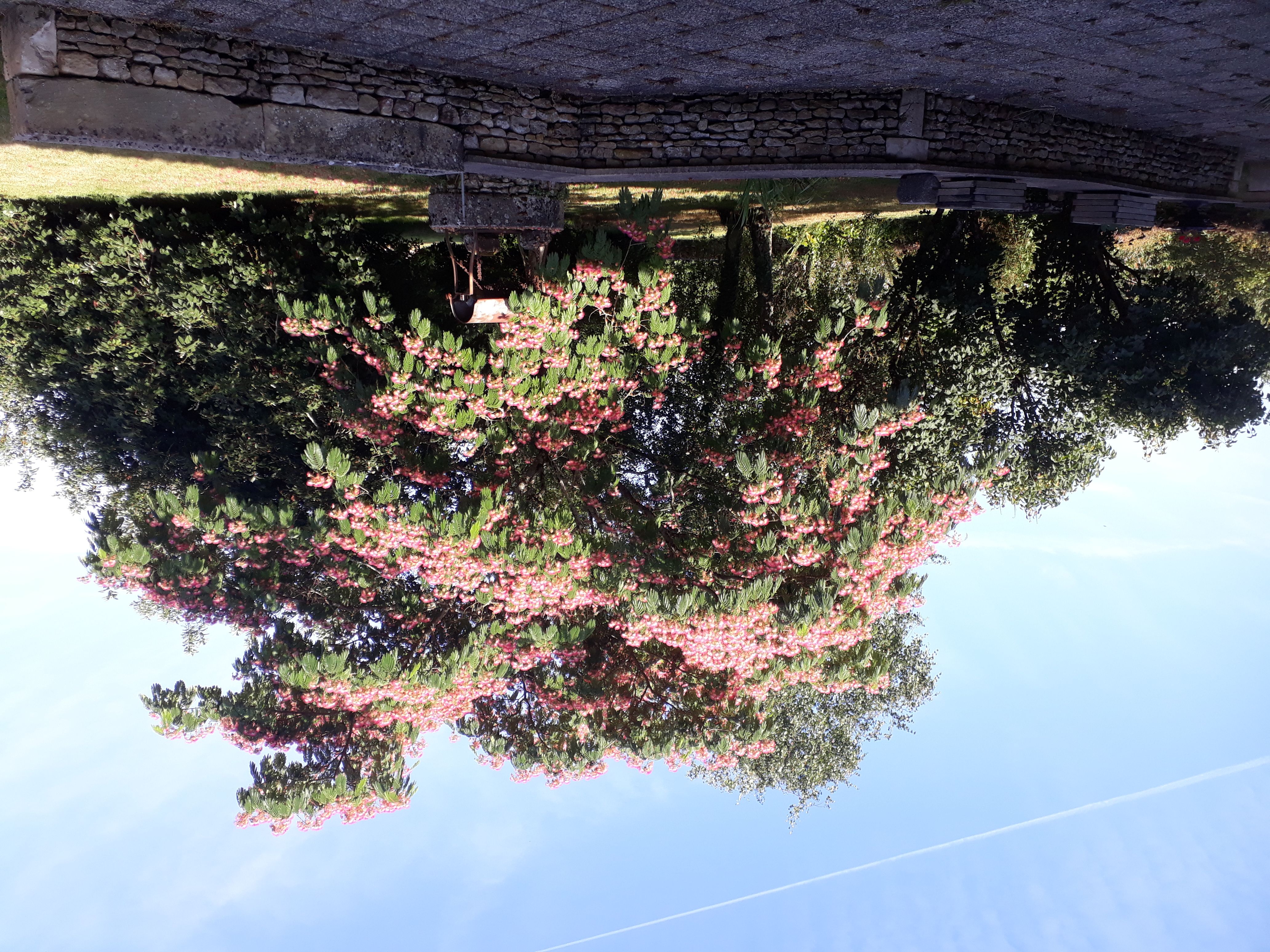 Le Verger, Xaintray - photo 10