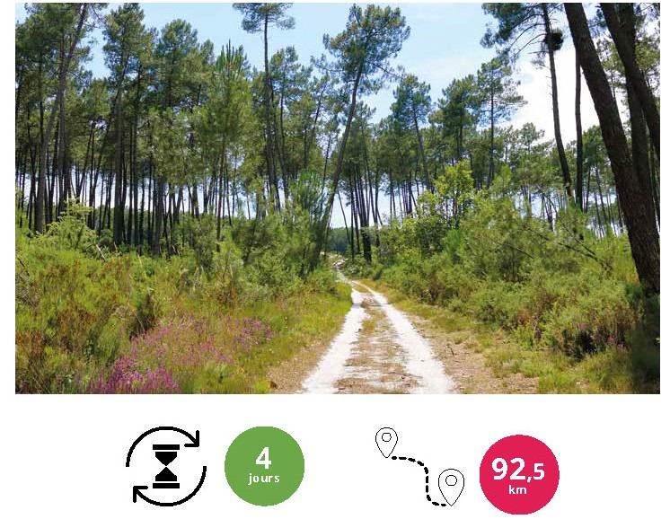 L'Albrésienne, Lamontjoie