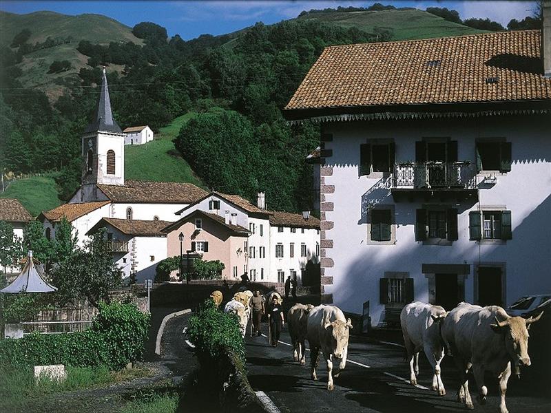 Lepeder