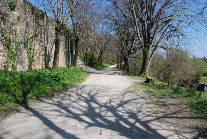 allées Georges Clémenceau - sirtaqui