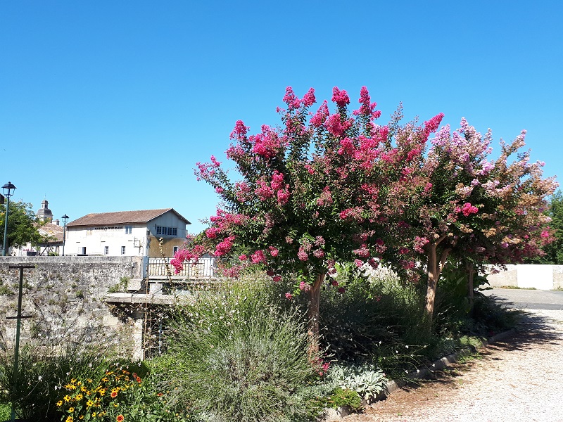 Camping municipal d'Allemans-du-Dropt - photo 4