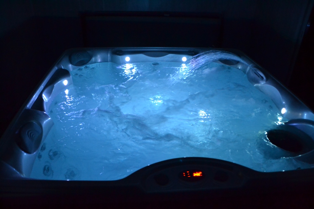 Gîte Amadeus, Saint-Paul-en-Born - photo 6