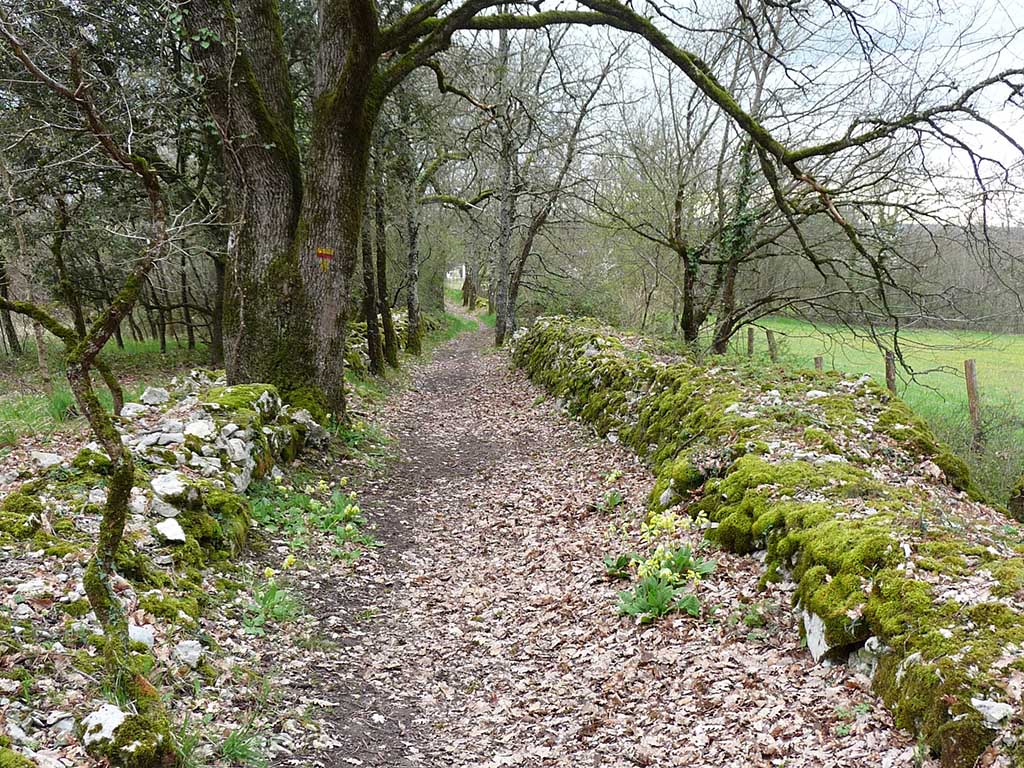 Boucle des Lizettes - Monsac, Monsac