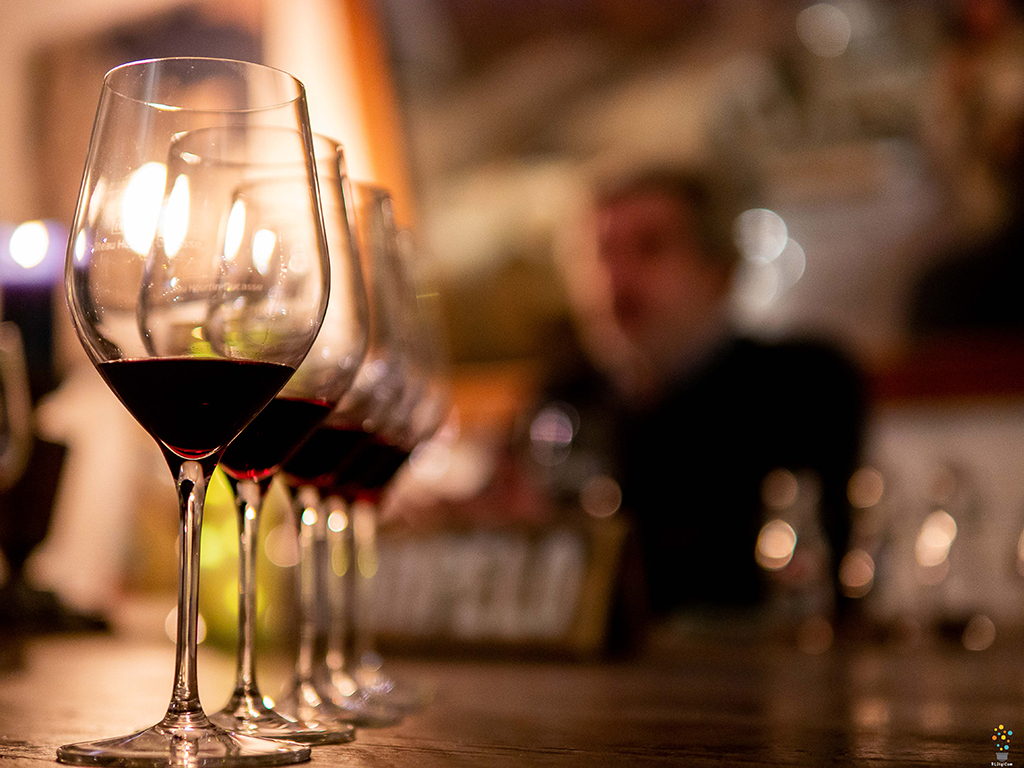 L'Ampélo ou L'Ampélographie au Château Hourtin-Ducasse - photo 3