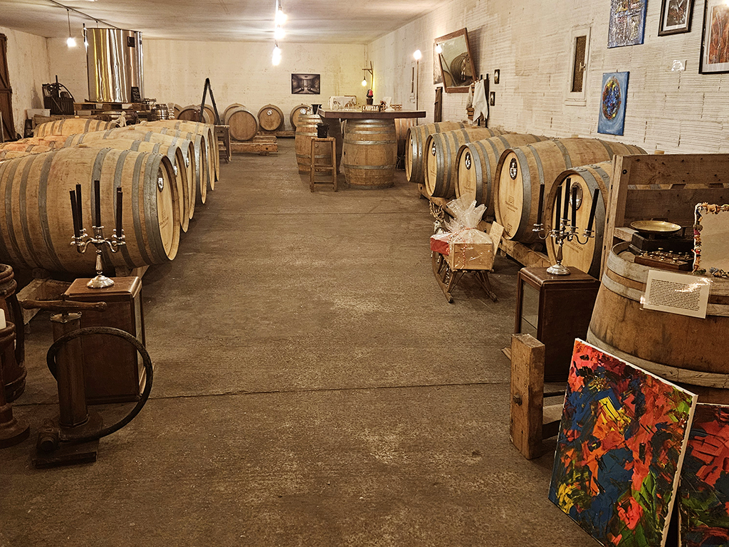 L'Ampélo ou L'Ampélographie au Château Hourtin-Ducasse