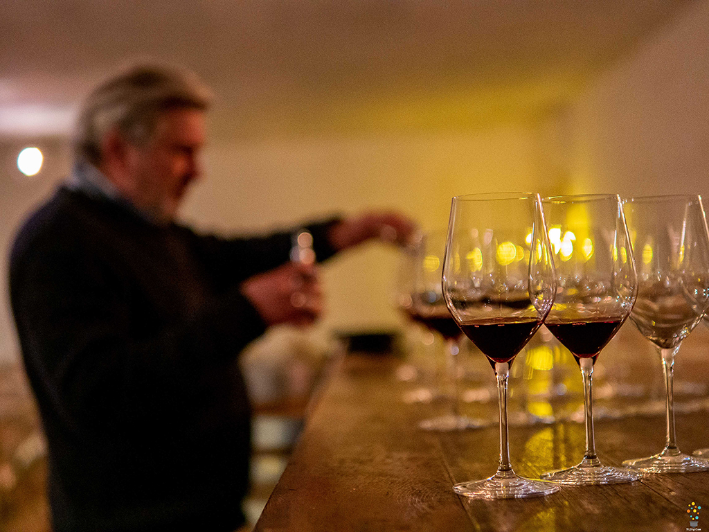 L'Ampélo ou L'Ampélographie au Château Hourtin-Ducasse - photo 4
