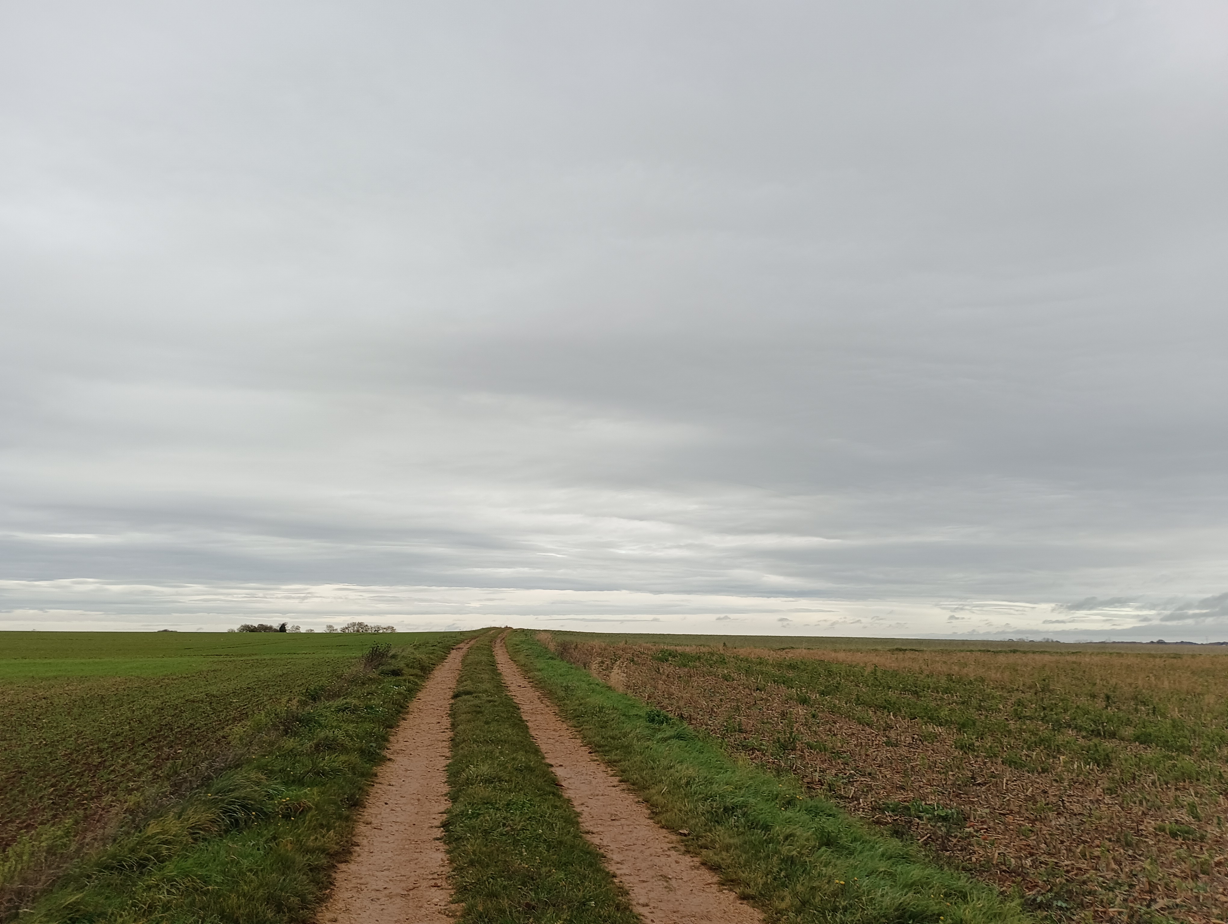 Circuit des Marzelles, Messé