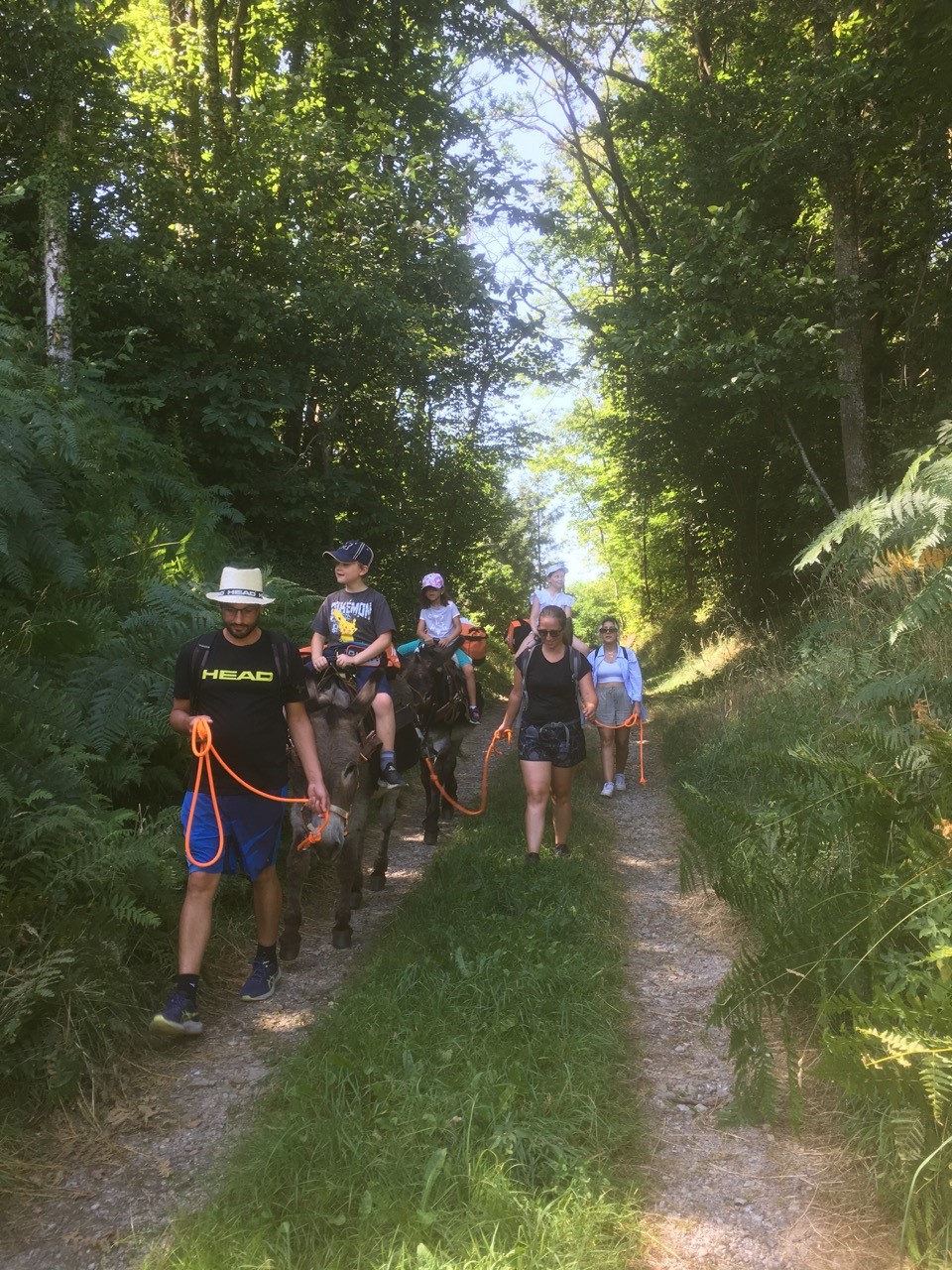 Les Ânes de Danièle — photo 3