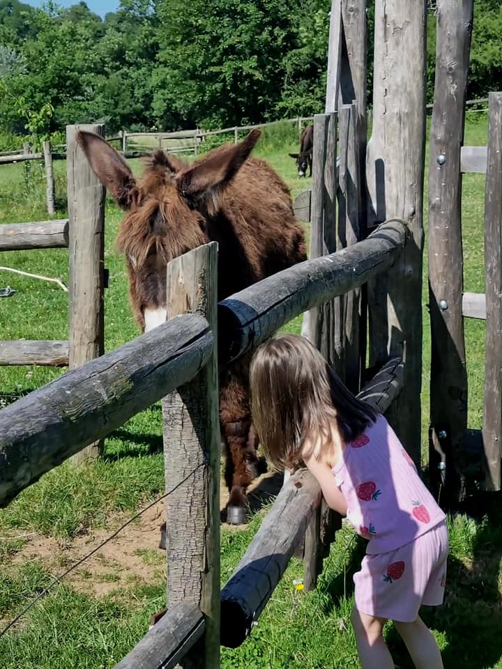 La Berlière - Gîte nature, Saint-Pardoux-Soutiers - photo 19